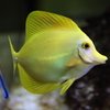 8月11日 京都水族館 21