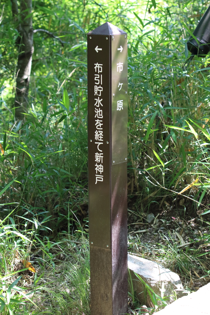 6月9日 布引の滝 2