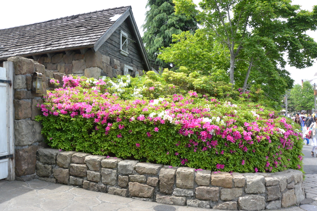 USJ風景 35