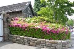 USJ風景 35