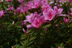 USJ風景 94 USJ風景 94