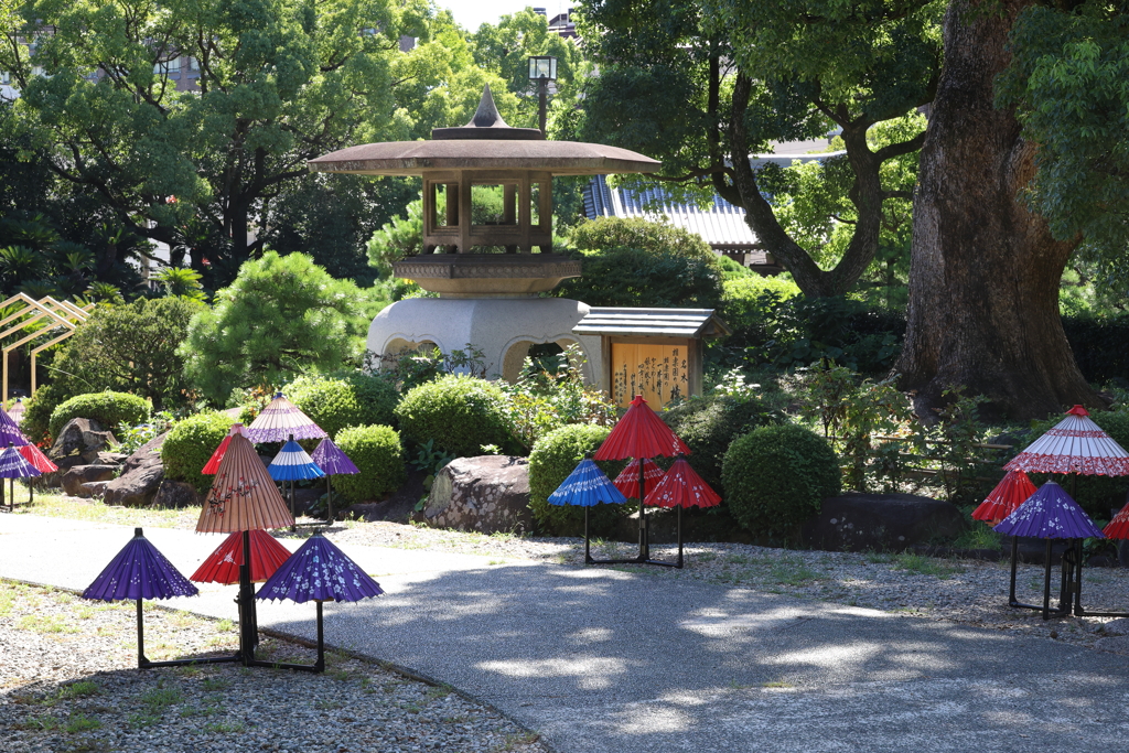 8月27日 相楽園 ９