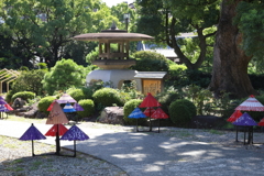 8月27日 相楽園 ９