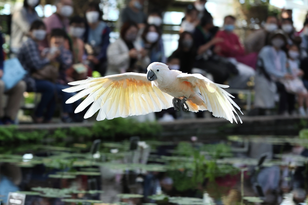 10月24日 神戸どうぶつ王国 10