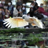 10月24日 神戸どうぶつ王国 10