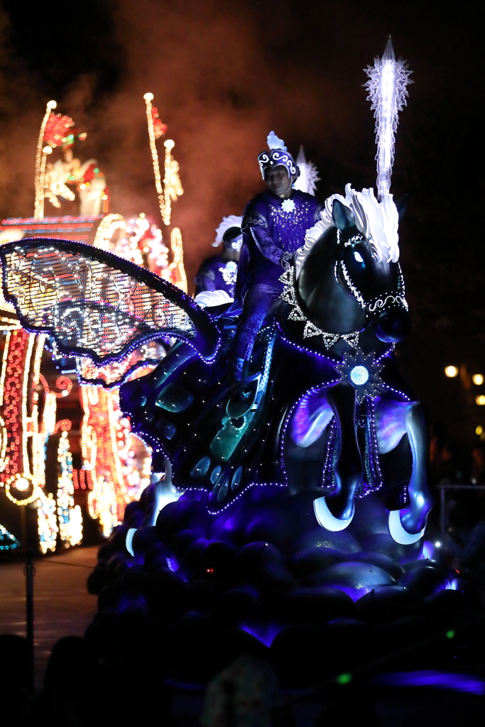 11月22日 東京ディズニーランド 75