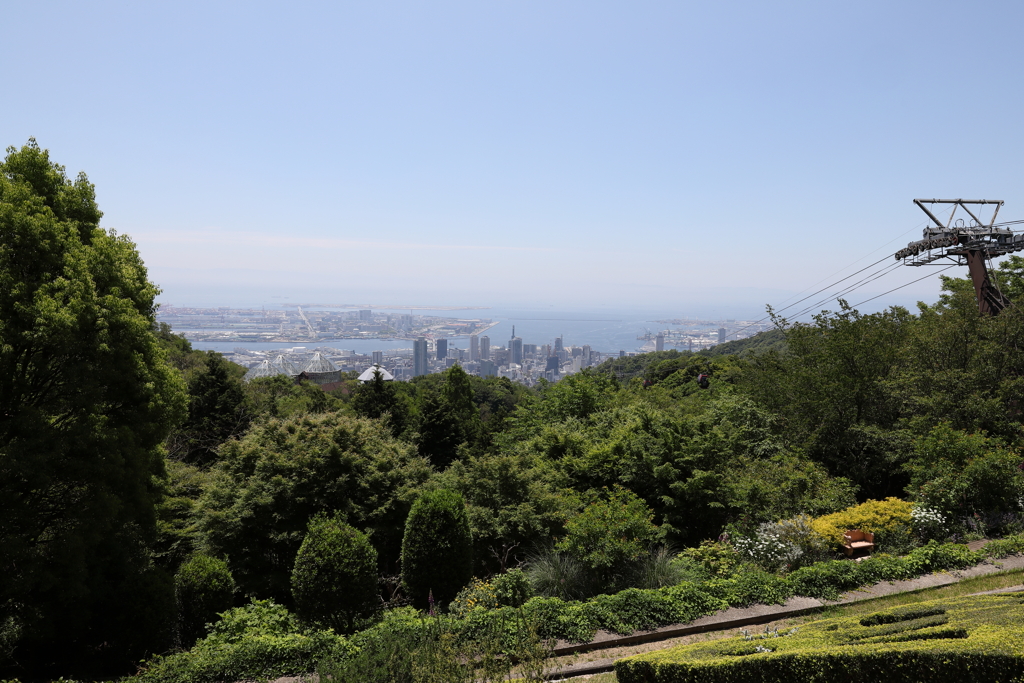 5月28日 布引ハーブ園 ５