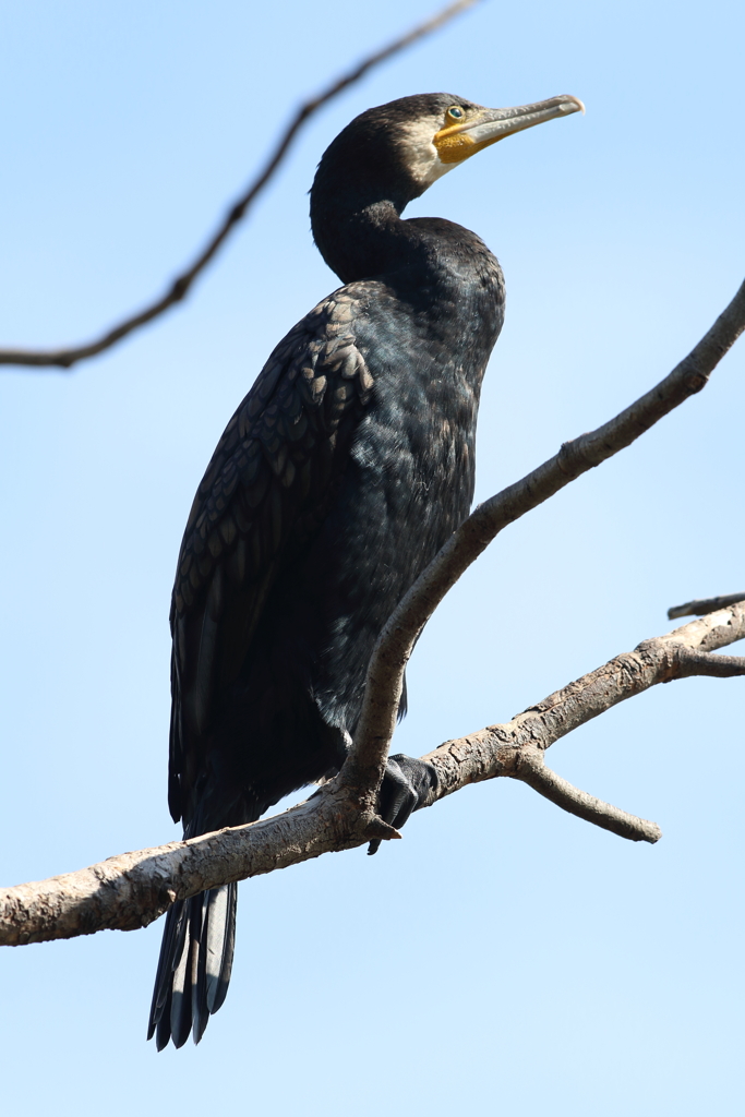 10月30日 明石公園 ２