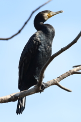 10月30日 明石公園 ２