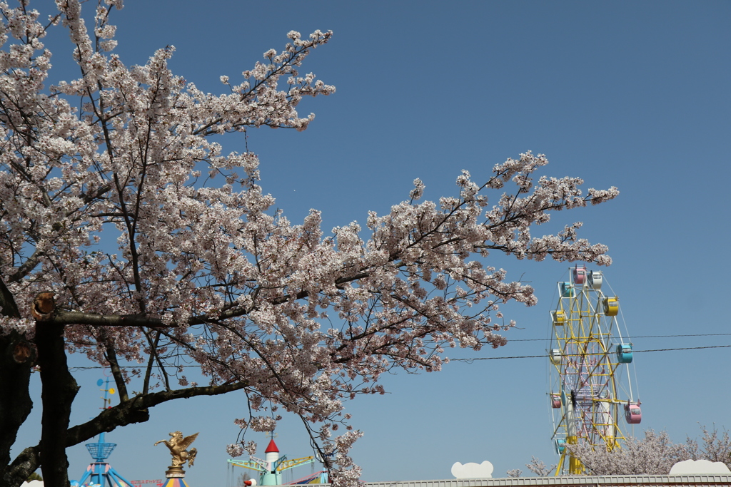 3月31日 王子動物園 ２