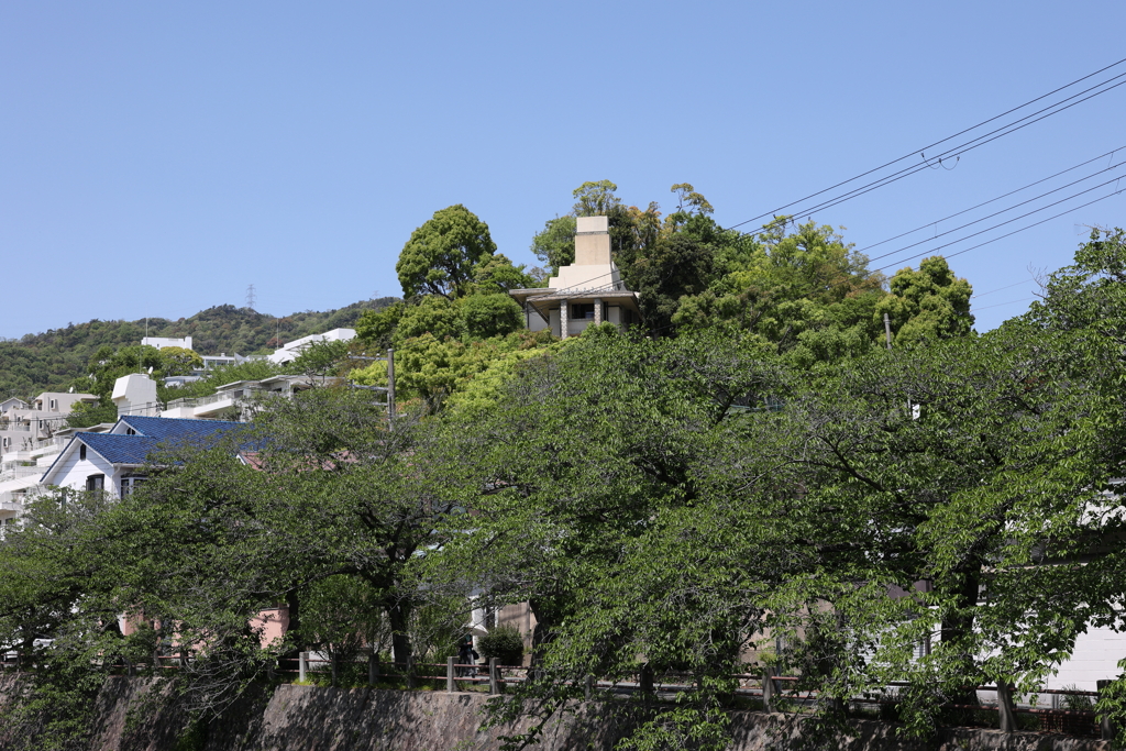4月25日 散歩 ３