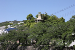 4月25日 散歩 ３