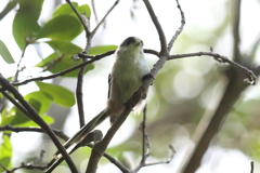 8月22日 明石公園 ５