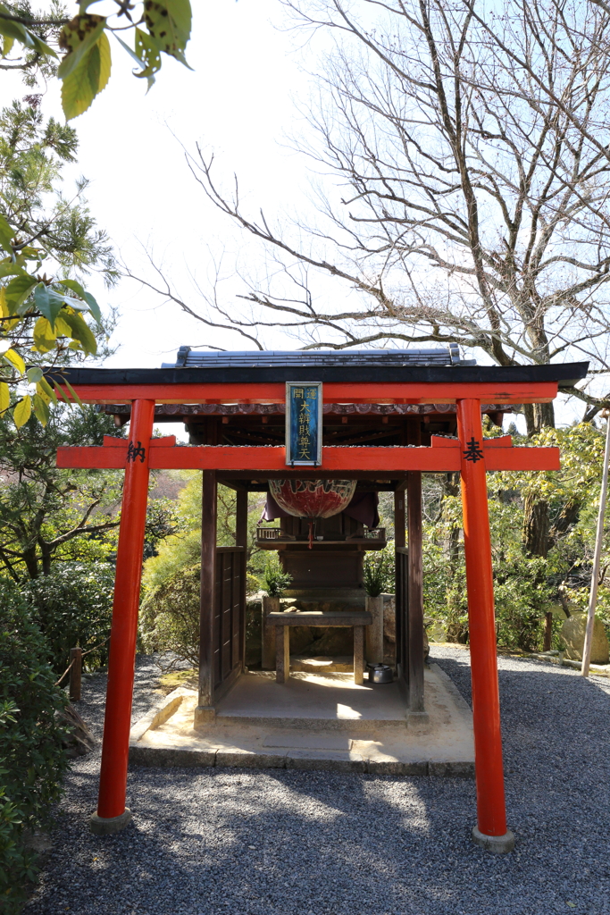 3月20日 京都嵐山 51