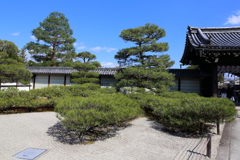 3月20日 京都嵐山 38