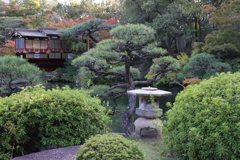 10月31日 相楽園 29