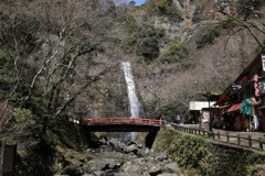 3月12日 箕面公園 ９