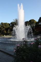 12月6日 須磨離宮公園 ６