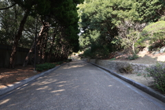 2月20日 須磨離宮公園 ２