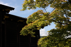 5月23日 相楽園 34