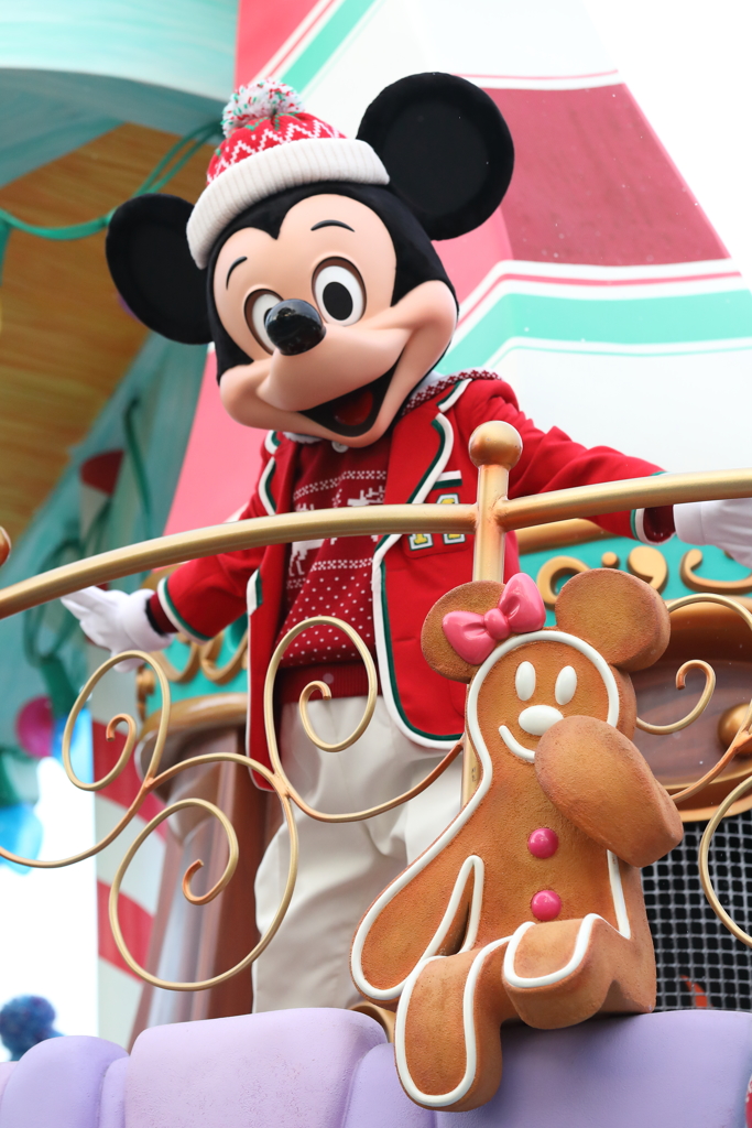 11月22日 東京ディズニーランド 38