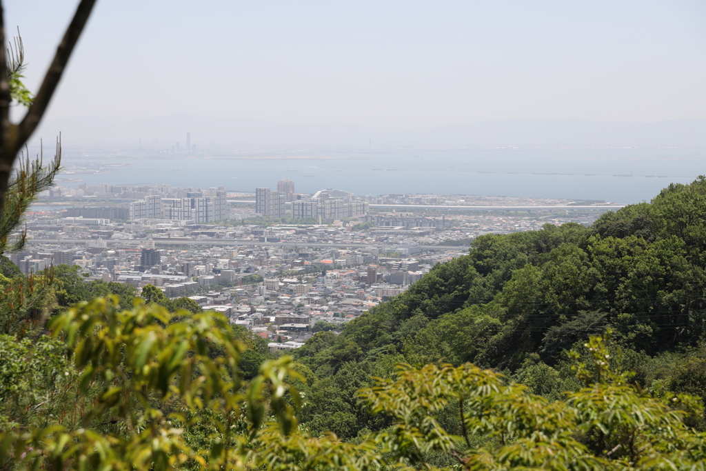5月14日 長距離散歩 17