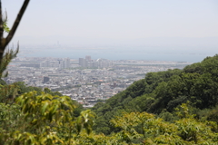5月14日 長距離散歩 17