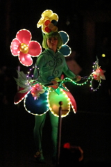 11月22日 東京ディズニーランド 96