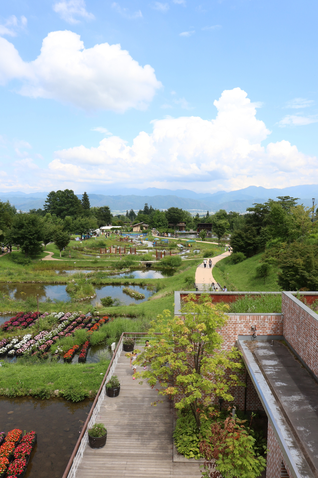 8月11日 国営アルプスあずみの公園 堀金・穂高地区 ６