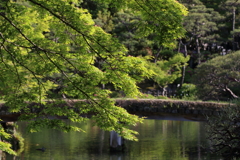 4月24日 相楽園 23