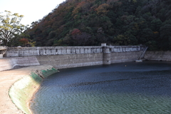 11月14日 布引の滝 ４