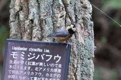 9月26日 明石公園 ９