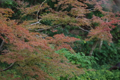 10月31日 明石公園 20