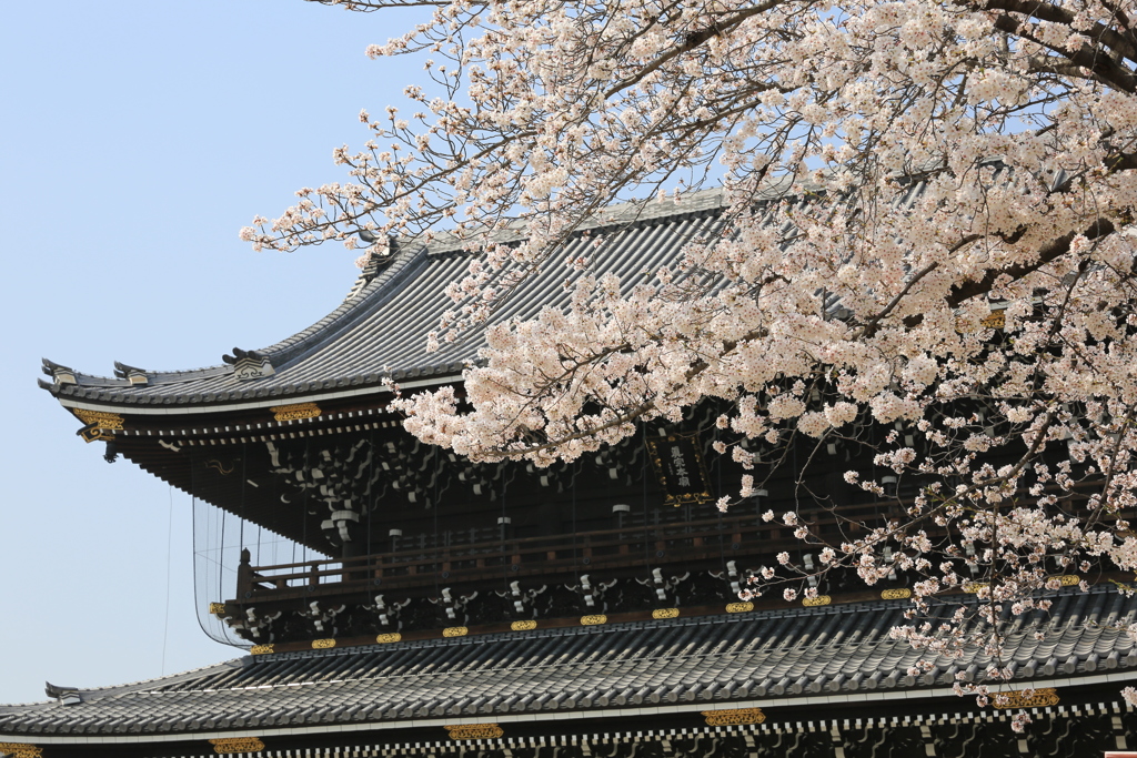 3月29日 京都 ２