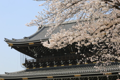 3月29日 京都 2 3月29日 京都 2