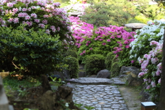 4月24日 相楽園 30