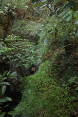 5月28日 布引の滝 20