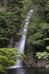 5月4日お散歩 布引ハーブ園 3 5月4日お散歩 布引ハーブ園 3