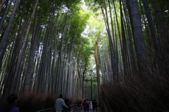 11月23日 京都 44