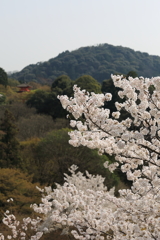 3月29日 京都 １
