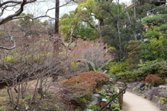 3月6日 相楽園 ５