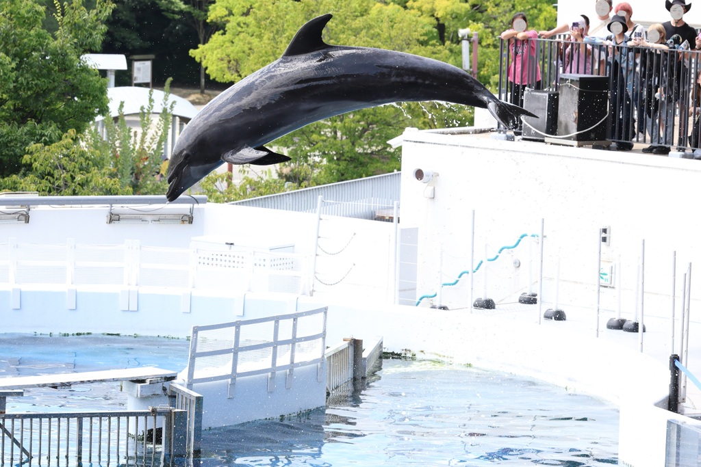 8月11日 京都水族館 ３