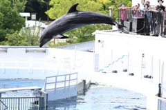 8月11日 京都水族館 ３