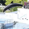 8月11日 京都水族館 ３
