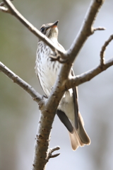 10月16日 明石公園 ７