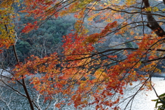 12月15日 布引の滝 ３