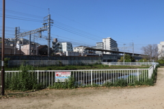 4月30日 散歩 ６