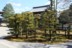 3月20日 京都嵐山 40