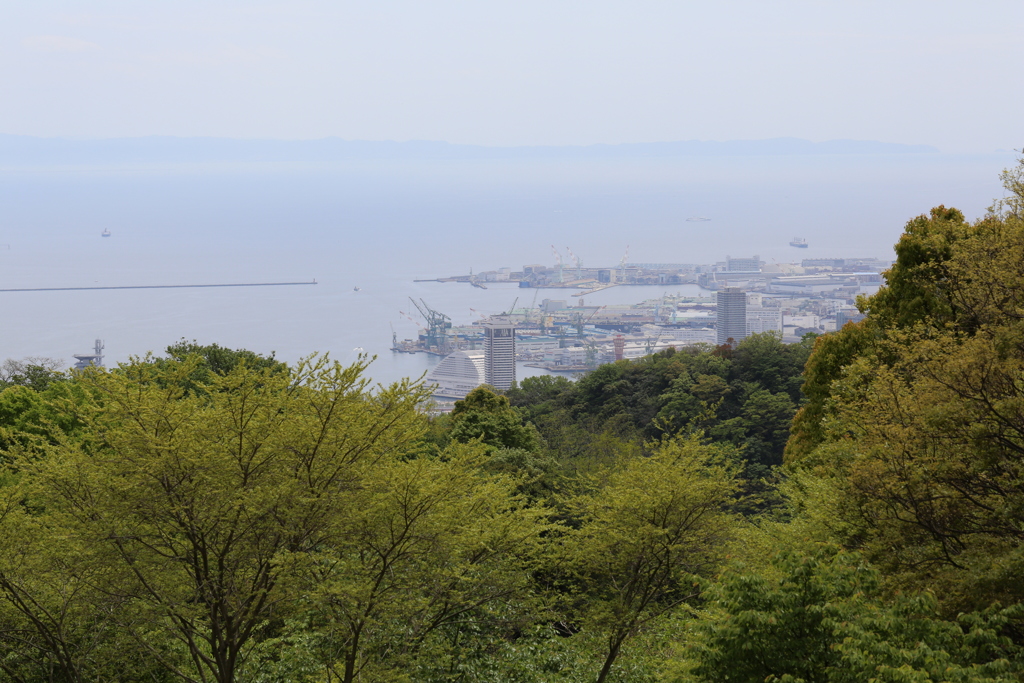 5月4日 布引ハーブ園 ９