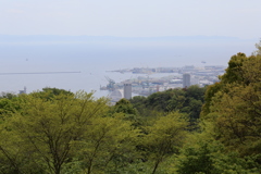 5月4日 布引ハーブ園 9 5月4日 布引ハーブ園 9